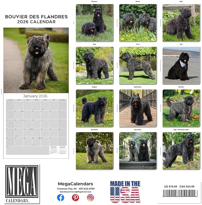 Bouvier Des Flandres Calendar 2026 by MegaCalendars – Monthly Dog Breed Wall Calendar, Made in USA