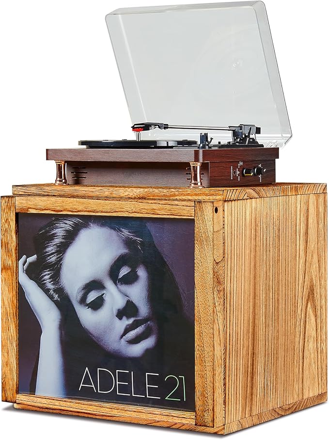 DGWJSU Vinyl Record Storage, Record Storage Box Holds 120 Records, Wooden Vinyl Holder Display Window(7″/10″/12″), Vinyl Storage For Music Corners, Display Collections, Home Theaters, Living Rooms