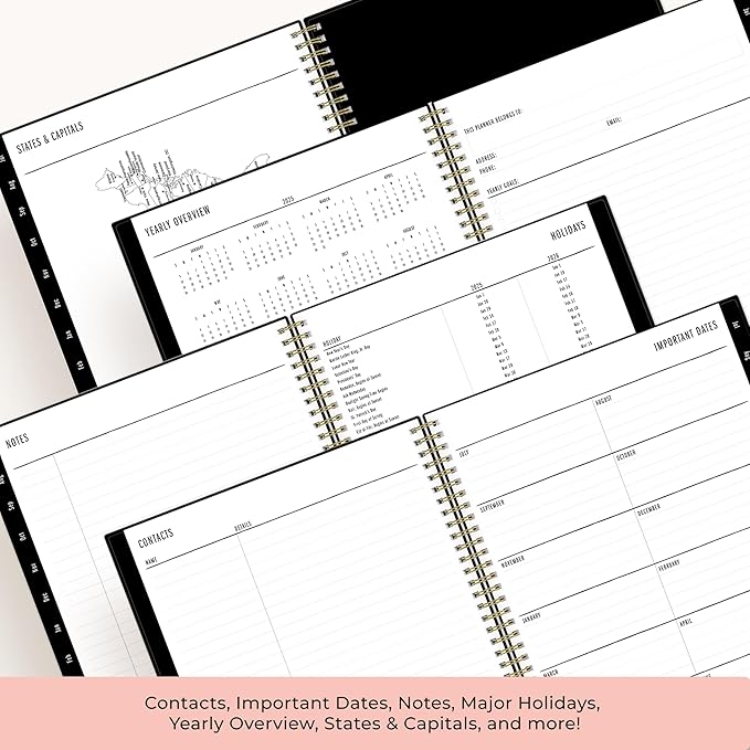 Blue Sky Idlewild 2025-2026 Weekly and Monthly Academic Year Planner Calendar, July 2025 - June 2026, 8.5" x 11", Flexible Cover, Wirebound, Laminated Tabs, Storage Pocket, Black Swirl