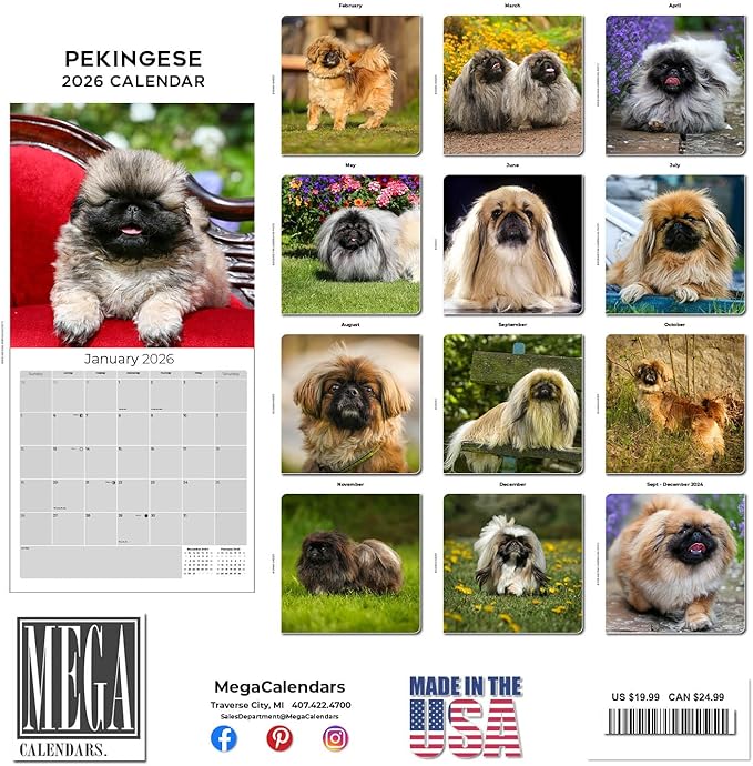 Pekingese Calendar 2026 by MegaCalendars – Monthly Dog Breed Wall Calendar, Made in USA