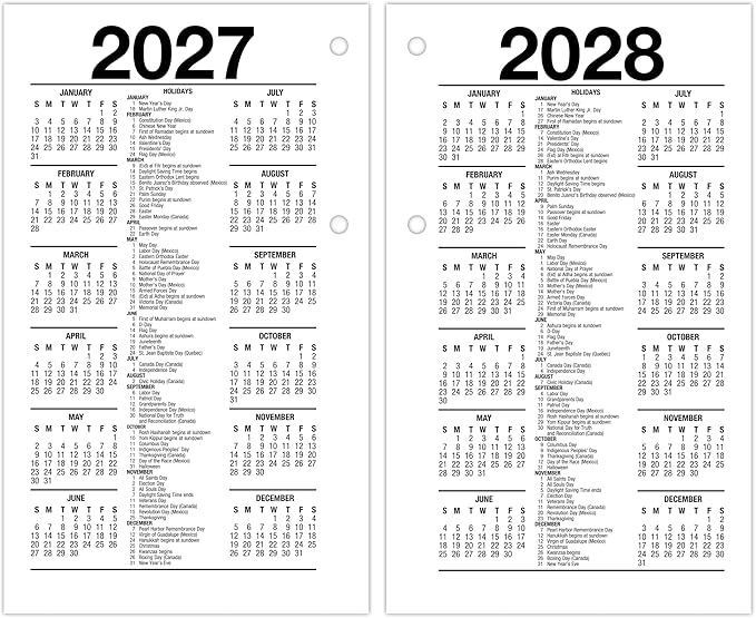 AT-A-GLANCE 2026 Desk Calendar Refill, Daily, 3.5" x 6", Standard, Loose-Leaf (E7175026)