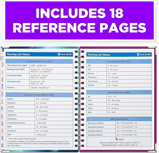 Nursing School Study Planner - Nursing Student Gifts - Spring 26/Fall 26 Calendar Year - Dates Start January 1st 2026 through January 31st 2027