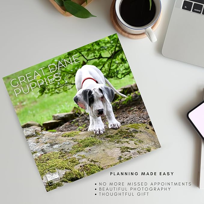 Great Dane Puppy 2026 Wall Calendar | 12" x 24" Open | Dog Photography Thick & Sturdy Paper for Organizing & Planning | Office Kitchen Decor or Gift | Pacific Waters Press (Great Dane Puppies)