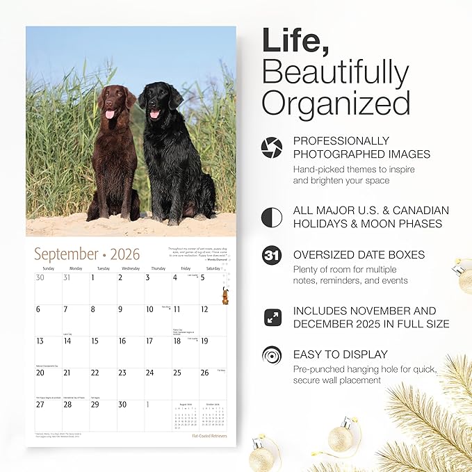 RED EMBER Flat-Coated Retrievers 2026 Wall Calendar 12 Month | 12" x 24" Open | Thick & Sturdy Paper | Giftable | Cute Puppy Dog Calendar 2026