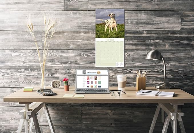 Dalmatian Calendar 2026 by MegaCalendars – Monthly Dog Breed Wall Calendar, Made in USA