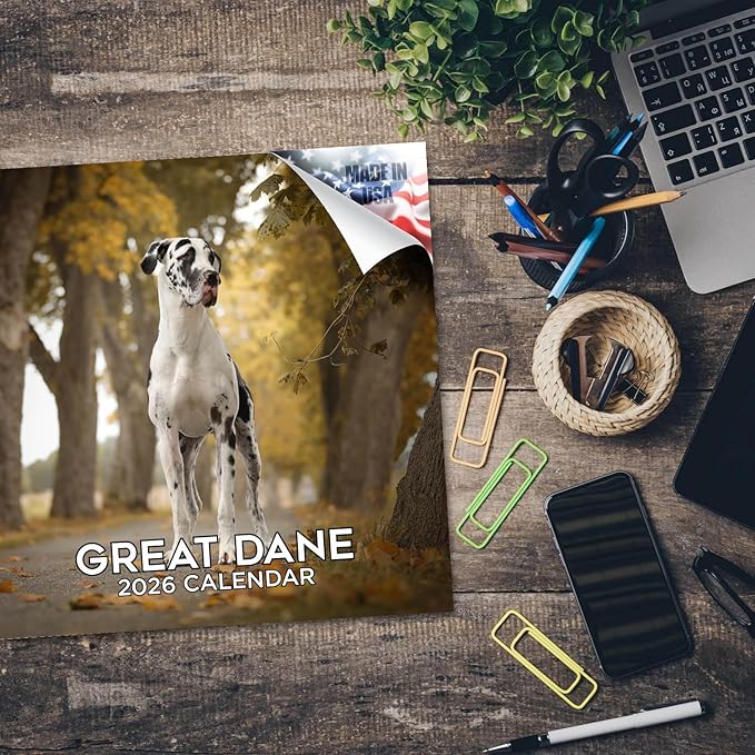 Great Dane Calendar 2026 – 16-Month Dog Breed Wall Calendar by MegaCalendars – Large Daily Blocks, Thick No-Bleed Paper, Made in USA