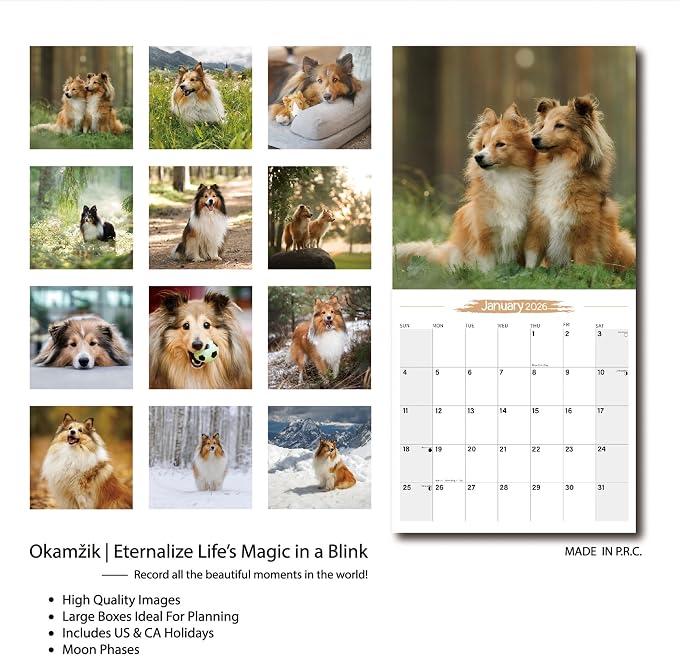 2026 Wall Calendar Shetland Sheepdog Planner Calendar, Hangable Monthly Dogs Wall Calendar with Large Blocks for Organizing & Planning, Academic Schedule, Home, Office & family, Thick & Sturdy Paper (12"x24" Open)