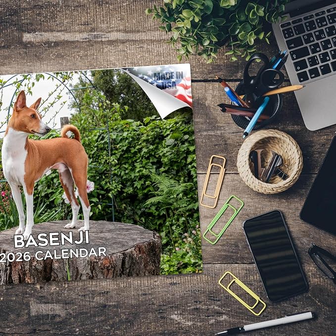 2025 2026 Basenji Calendar - Dog Breed Monthly Wall Calendar - 12" x 18" Open - Thick No-Bleed Paper - Giftable - Academic Teacher's Planner Calendar Organizing & Planning - Made in USA