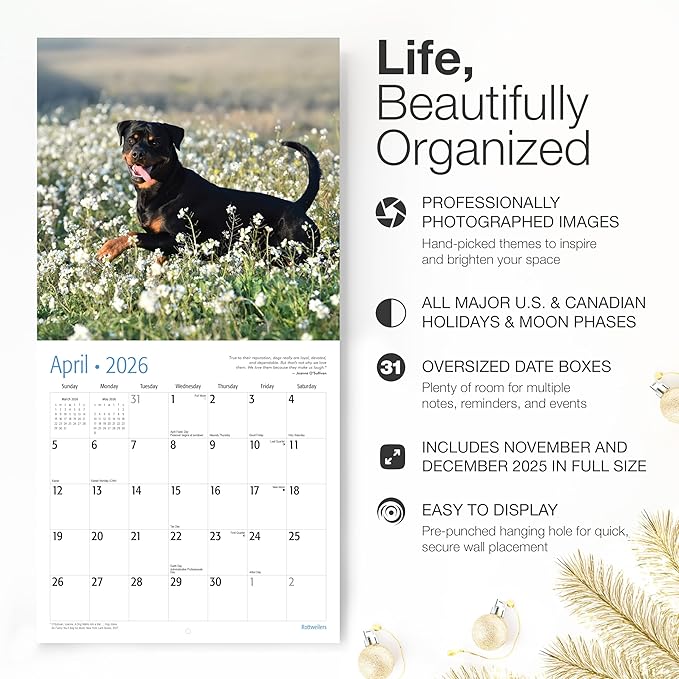 RED EMBER Select - Rottweilers 2026 Wall Calendar 12 Month | 12" x 24" Open | Thick & Sturdy Paper | Giftable | Cute Puppy Dog Calendar 2026