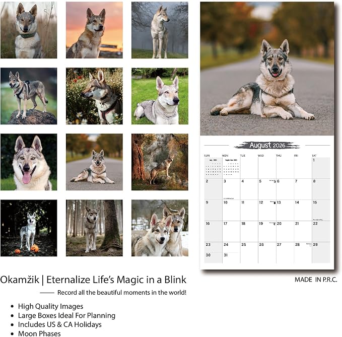 2026 Wall Calendar, Wolfdog Hangable Monthly Planner Calendar For Dogs Lovers