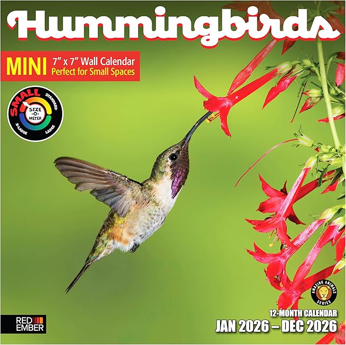 RED EMBER Hummingbirds 2026 Mini Wall Calendar 12 Month | 7" x 14" Open | Thick & Sturdy Paper | Giftable | Bird Calendar 2026