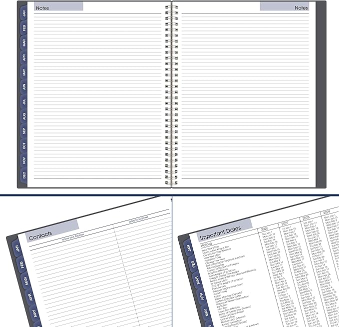 AT-A-GLANCE 2026 Appointment Book Planner, Weekly & Monthly, 8-1/2" x 11", Large, Quarter-Hourly, DayMinder, Gray (GC5200726)