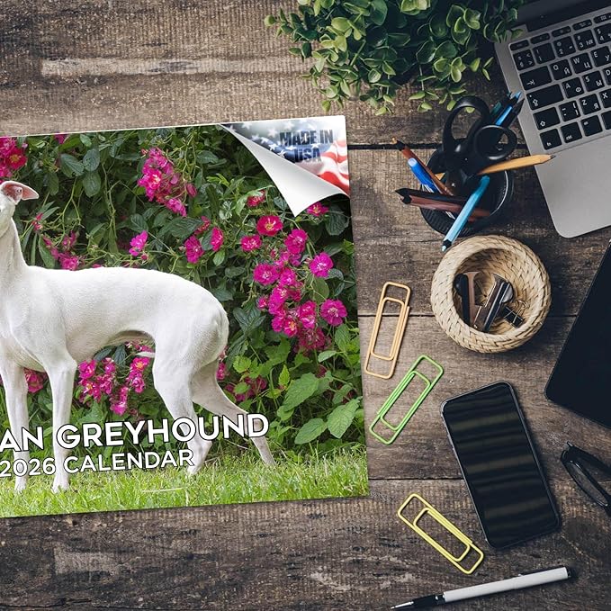 2025 2026 Italian Greyhound Calendar - Dog Breed Monthly Wall Calendar - 12" x 18" Open - Thick No-Bleed Paper - Giftable - Academic Teacher's Planner Calendar Organizing & Planning - Made in USA