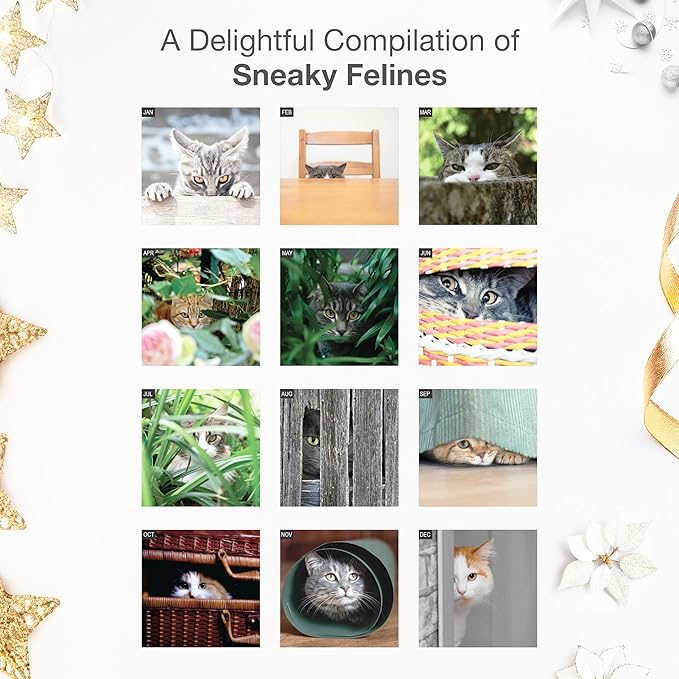 RED EMBER Sneaky Cats 2026 Wall Calendar 12 Month | 12" x 24" Open | Thick & Sturdy Paper | Giftable | Funny Kitten Cat Calendar 2026