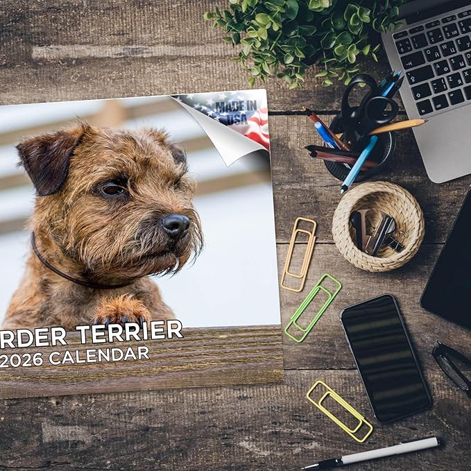 2025 2026 Border Terrier Calendar - Dog Breed Monthly Wall Calendar - 12" x 18" Open - Thick No-Bleed Paper - Giftable - Academic Teacher's Planner Calendar Organizing & Planning - Made in USA