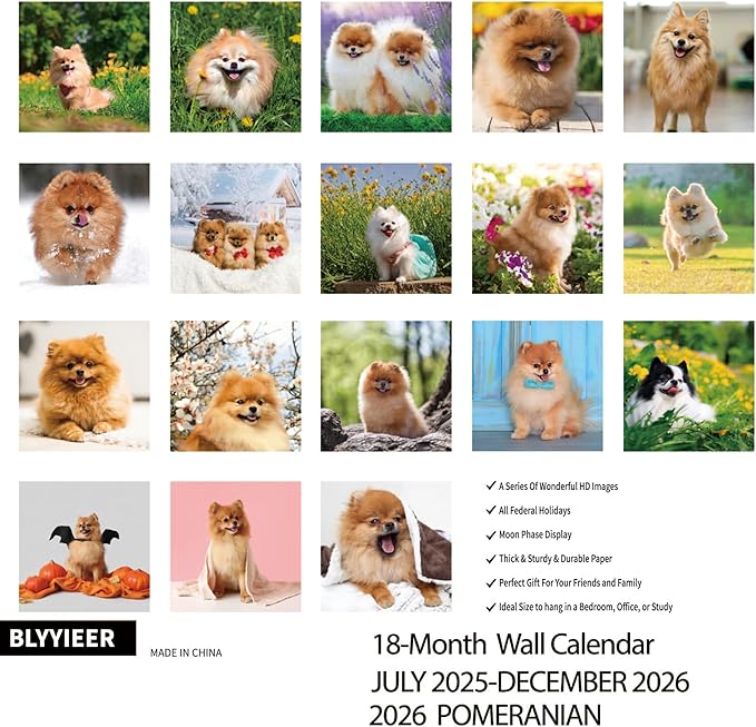 2025-2026 Wall Calendar,Pomeranian Wall Calendar, 12" x 24" Open,Family Planner Calendar Organizer with Pomeranian Images, for Dogs Lovers