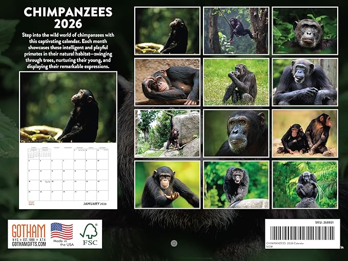 Chimpanzee Calendar 2026 Monthly Wall Calender 12 Month Chimpanzees Gifts For Chim Lovers For Woman Man| American Made In The USA