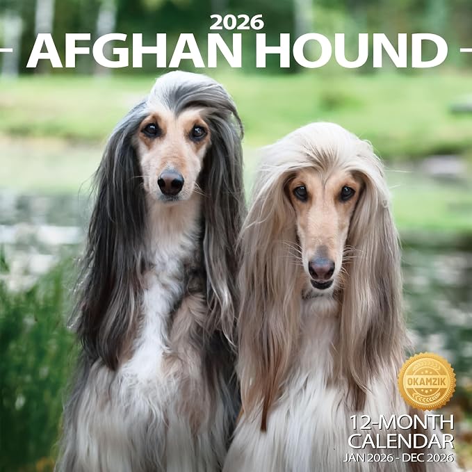 2026 Wall Calendar Afghan hound Planner Calendar, Hangable Monthly Wall Calendar with Large Blocks for Organizing & Planning, Academic Schedule, Home, Office & family, Thick & Sturdy Paper (12"x24" Open)
