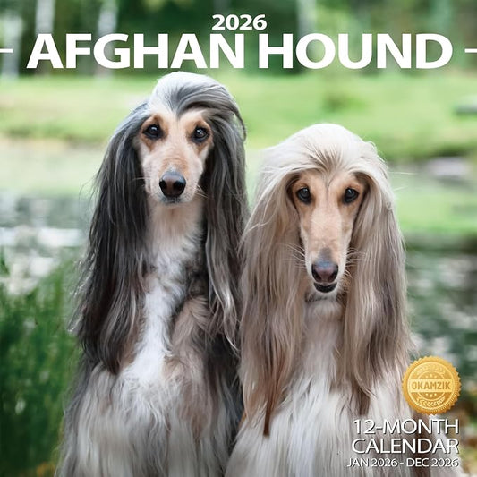 2026 Wall Calendar Afghan hound Planner Calendar, Hangable Monthly Wall Calendar with Large Blocks for Organizing & Planning, Academic Schedule, Home, Office & family, Thick & Sturdy Paper (12"x24" Open)