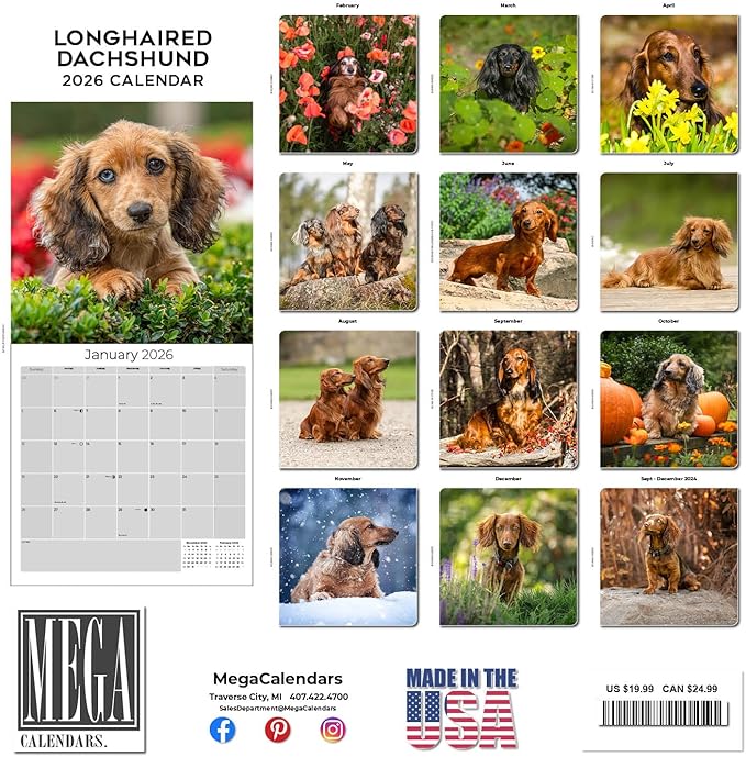 Longhaired Dachshund Calendar 2026 – 16-Month Dog Breed Wall Calendar by MegaCalendars – Large Daily Blocks, Thick No-Bleed Paper, Made in USA