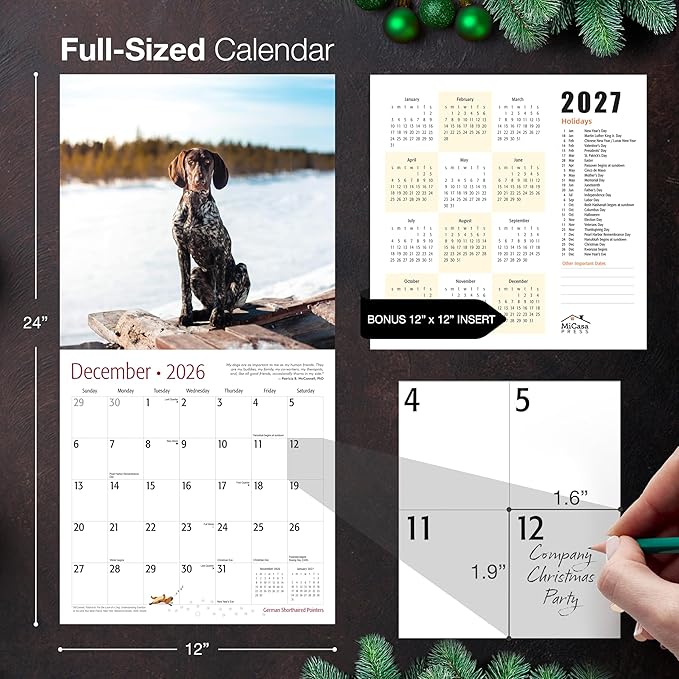 MICASA PRESS German Shorthaired Pointers 2026 Wall Calendar 12 Month | 12" x 24" Open | Thick & Sturdy Paper | Giftable | Cute GSP Puppy Dog Calendar 2026