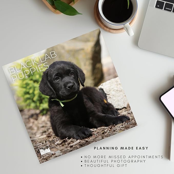 Black Lab Puppy Wall Calendar 2026 | 12" x 24" Open | Dog Calendar Photography Thick & Sturdy Paper | Office Kitchen Decor or Gift | Pacific Waters Press (Black Lab Puppies)