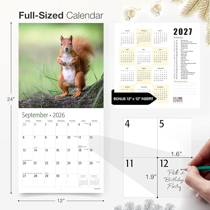 RED EMBER Select - Squirrels 2026 Wall Calendar 12 Month | 12" x 24" Open | Thick & Sturdy Paper | Giftable | Funny Animal Calendar 2026