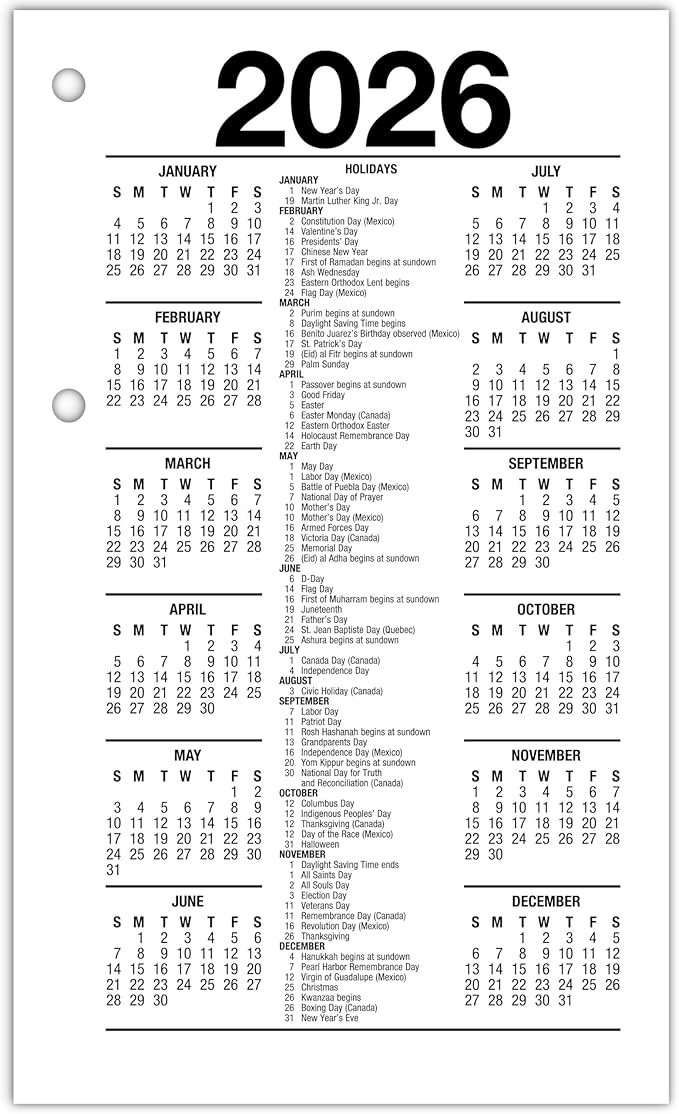 AT-A-GLANCE 2026 Desk Calendar Refill, Daily, 3.5" x 6", Standard, Loose-Leaf, Recycled (E717R5026)