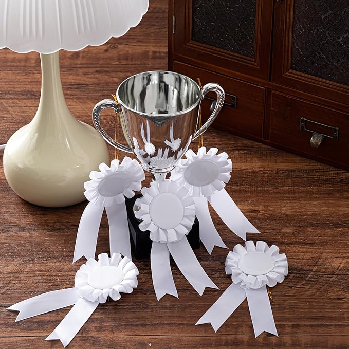 Henoyso 18 Pcs Blank Award Ribbon 1st Place Rosette Prize Award Medals Ribbons Recognition Participation Badges for Competition DIY Party Accessory Science Fair Talent Show(White)
