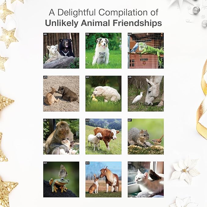 RED EMBER Odd Couples 2026 Wall Calendar 12 Month | 12” x 24” Open | Thick & Sturdy Paper | Giftable | Funny Unlikely Animal Friendships Calendar 2026