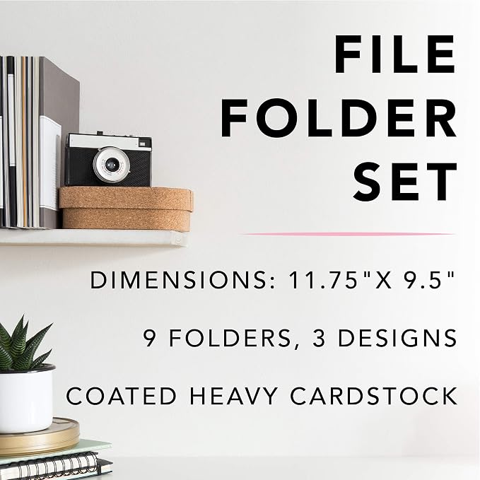 Graphique Designer “Very Important” File Folders | Set of 9 (3 Designs) | Letter Size Organizers | Decorative Office Supplies | Durable Coated Cardstock | Gold Foil Lettering | 1/3-Cut Tabs,Leopard