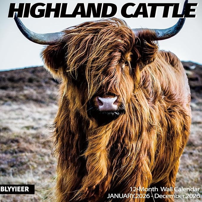 2026 Wall Calendar,Calendar 2026,Highland Cattle Monthly Wall Calendar, 12" x 24" Open,Family Planner Calendar, Home & Office Organizer,Hangable