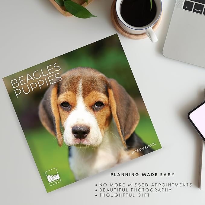 Beagle Puppy 2026 Wall Calendar | 12" x 24" Open | Dog Calendar Photography Thick & Sturdy Paper for Planning | Office Kitchen Decor or Gift | Pacific Waters Press (Beagle Puppies)
