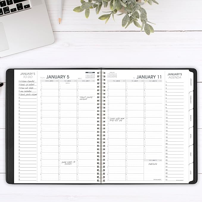 AT-A-GLANCE 2026 Appointment Book Planner, Weekly & Monthly, 8-1/4" x 11", Quarter-Hourly, Triple View, Black (70950V0526)