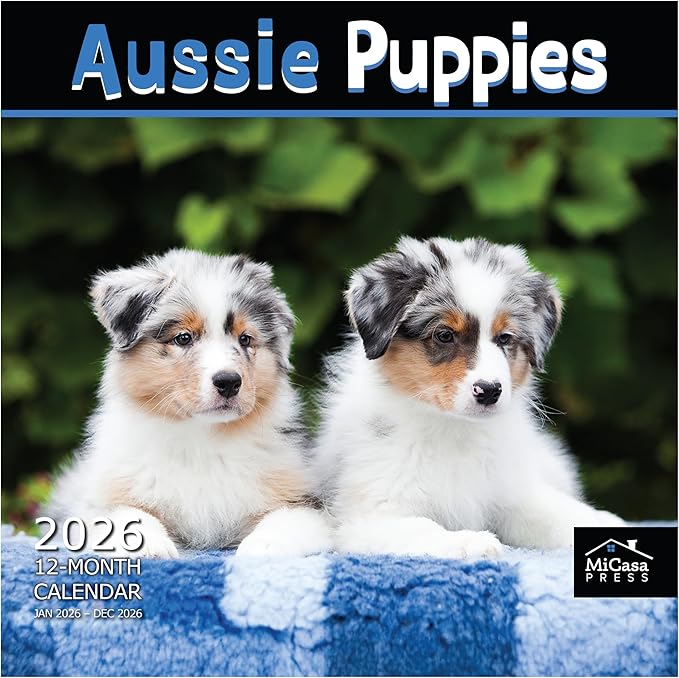 MICASA PRESS Aussie Puppies Australian Shepherds 2026 Wall Calendar 12 Month | 12" x 24" Open | Thick & Sturdy Paper | Giftable | Cute Puppy Dog Calendar 2026
