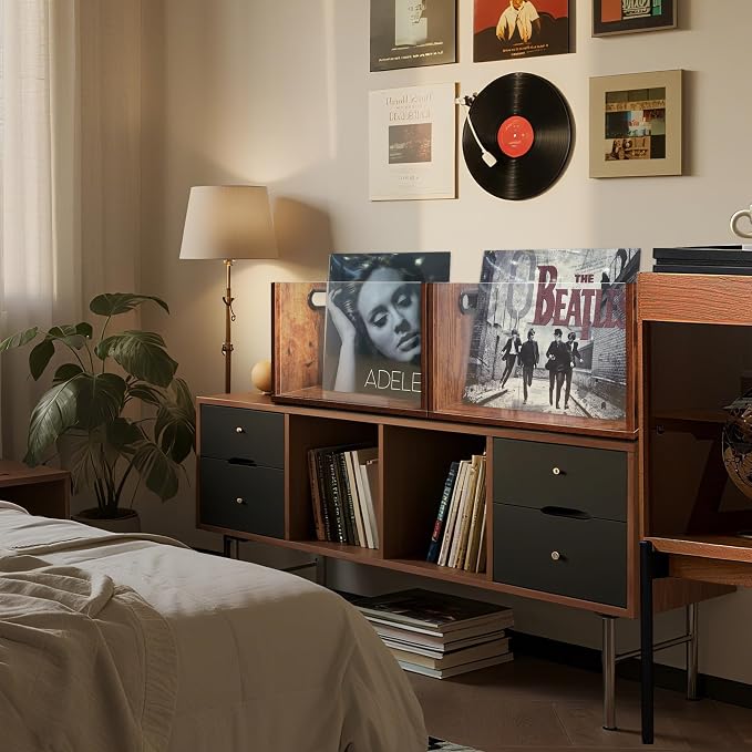 Vinyl Record Storage Crate, Holds up To 60 LPs, Album Visible Storage Box with Acrylic Front, Handle, Wooden Multi-Purpose Organizer for Records, Magazines and Books, for Desktop and Home Office