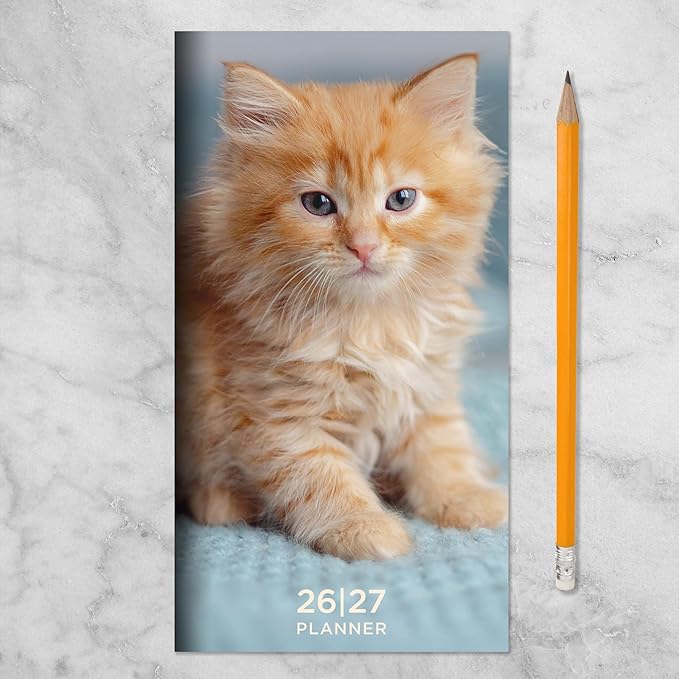 TF Publishing 2026-2027 Kitten Small Monthly Pocket Planner with 2 Page Large Calendar Grid and Lined Notes Section - 2 Year Pocket Calendar 2026-2027 Perfect for Purse - 3.5in x 6.5in