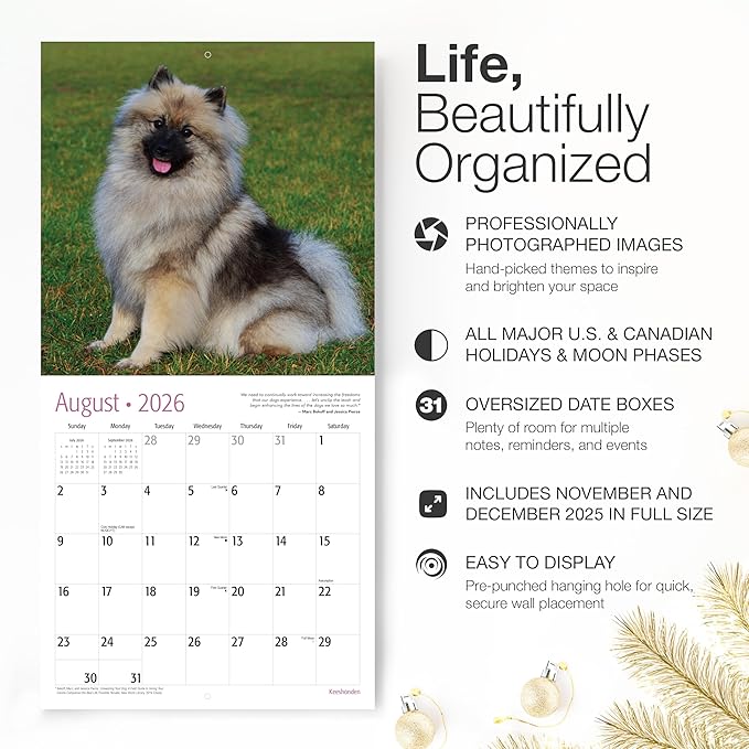 RED EMBER Keeshonden 2026 Wall Calendar 12 Month | 12" x 24" Open | Thick & Sturdy Paper | Giftable | Cute Puppy Dog Calendar 2026