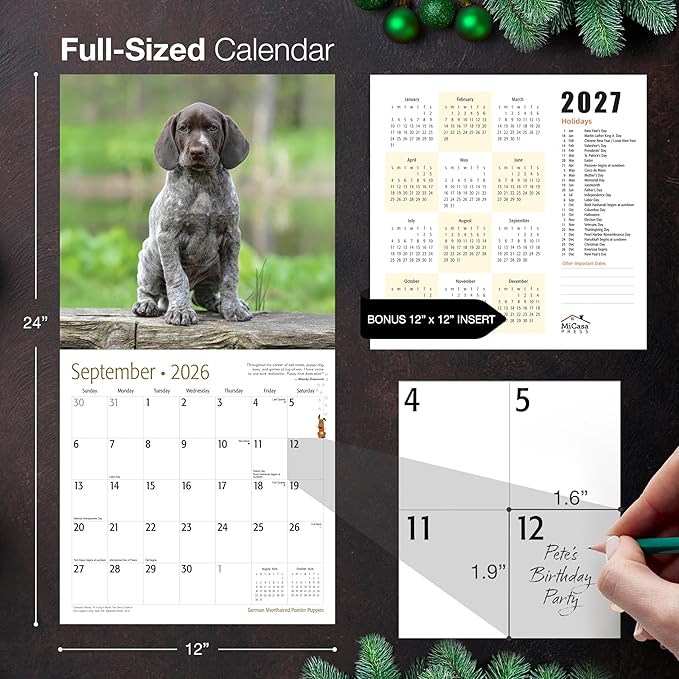 MICASA PRESS German Shorthaired Pointer Puppies 2026 Wall Calendar 12 Month | 12" x 24" Open | Thick & Sturdy Paper | Giftable | Cute GSP Puppy Dog Calendar 2026
