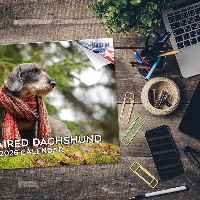 2025 2026 Dachshund Wirehaired Calendar - Dog Breed Monthly Wall Calendar - 12" x 18" Open - Thick No-Bleed Paper - Giftable - Academic Teacher's Planner Calendar Organizing & Planning - Made in USA