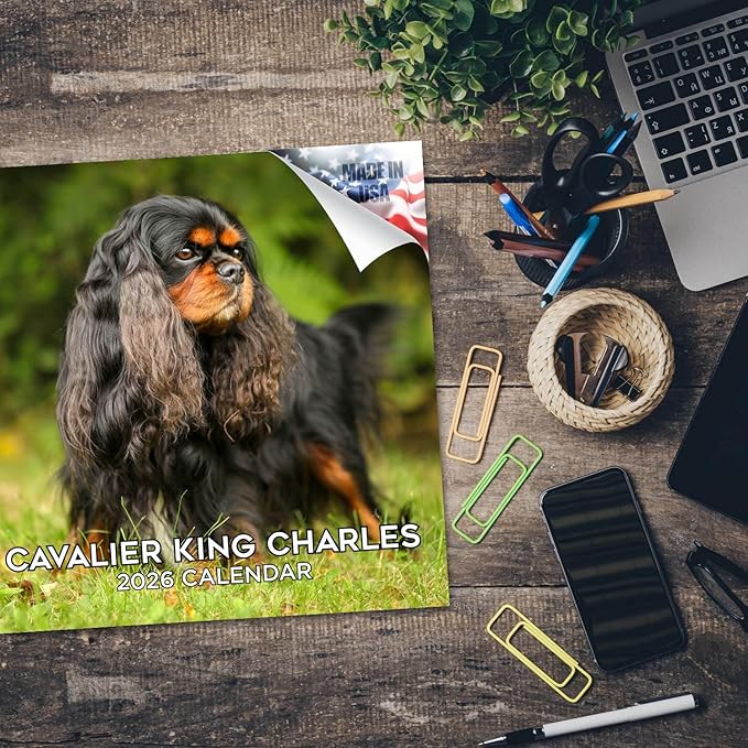 Cavalier King Charles Calendar 2026 by MegaCalendars – Monthly Dog Breed Wall Calendar, Made in USA