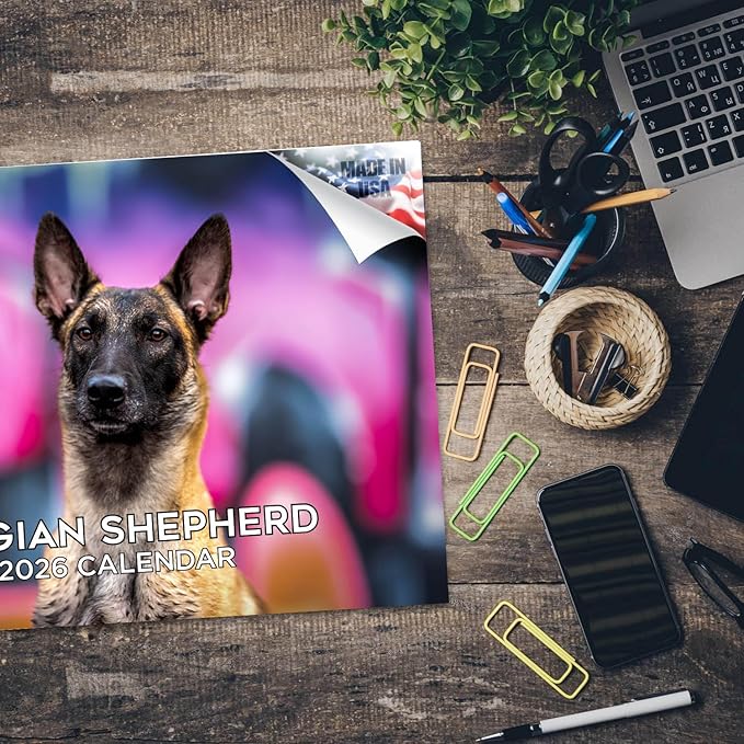2025 2026 Belgian Shepherd Calendar - Dog Breed Monthly Wall Calendar - 12" x 18" Open - Thick No-Bleed Paper - Giftable - Academic Teacher's Planner Calendar Organizing & Planning - Made in USA
