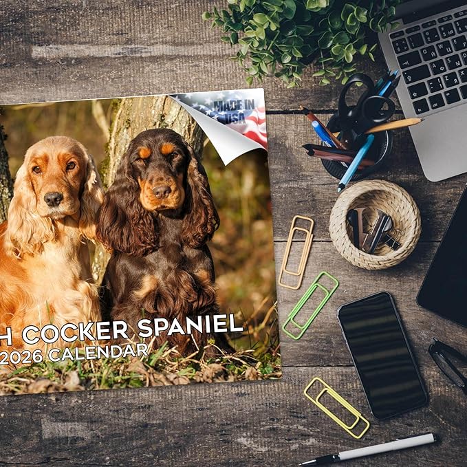 2025 2026 English Cocker Spaniel Calendar - Dog Breed Monthly Wall Calendar - 12" x 18" Open - Thick No-Bleed Paper - Giftable - Academic Teacher's Planner Calendar Organizing & Planning - Made in USA