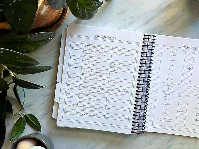 The 2026 Old-Fashioned on Purpose Planner by Jill Winger