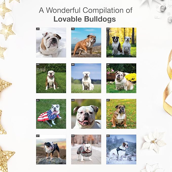 RED EMBER English and American Bulldogs 2026 Wall Calendar 12 Month | 12" x 24" Open | Thick & Sturdy Paper | Giftable | Cute Puppy Dog Calendar 2026