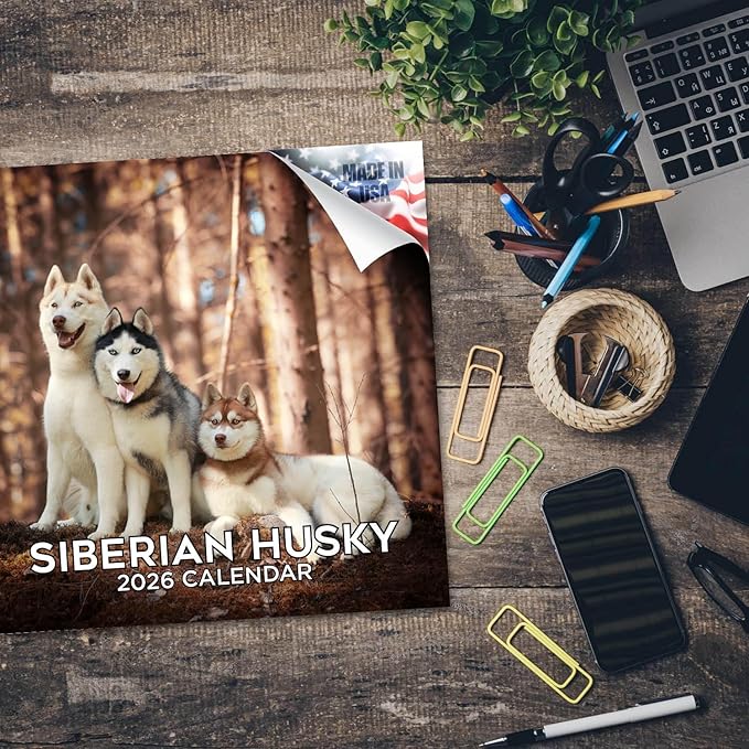 Siberian Husky Calendar 2026 – 16-Month Dog Breed Wall Calendar by MegaCalendars – Large Daily Blocks, Thick No-Bleed Paper, Made in USA