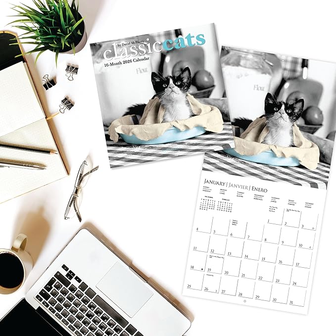 Graphique 2026 Classic Cats Mini Wall Calendar | 7” x 7” | Thick Paper | Home & Office Organizer | Large Monthly Grid | 3 Languages & Marked Holidays | 4 Month Preview Page for 2027