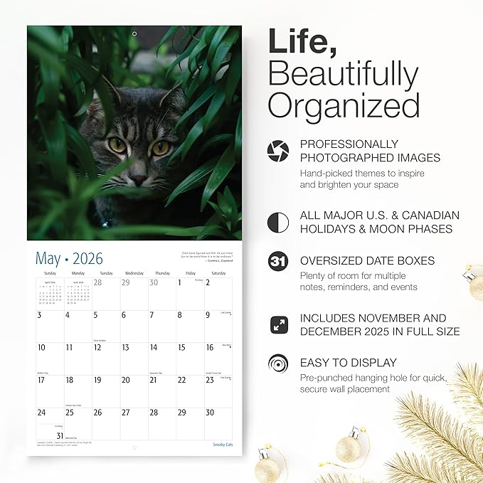 RED EMBER Sneaky Cats 2026 Wall Calendar 12 Month | 12" x 24" Open | Thick & Sturdy Paper | Giftable | Funny Kitten Cat Calendar 2026