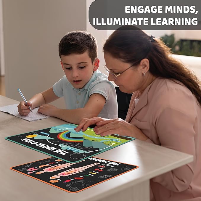 jackinthebox 12 Science Posters for Classroom - 12 x 17 inches Laminated, Middle School Science Posters, Posters for High School, Science Classroom Decor, Science Bulletin Board Sets for Kids.