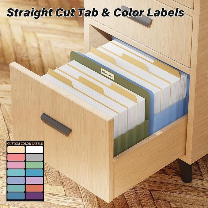 Ansook Expanding File folders,6 Pack Letter Size 5.25" Expandable Accordion File Folders,Heavy Duty File Pockets Folders for Cabinet with Straight-Cut Tab,Holds 8.5" x 11" documents & Manila Folder